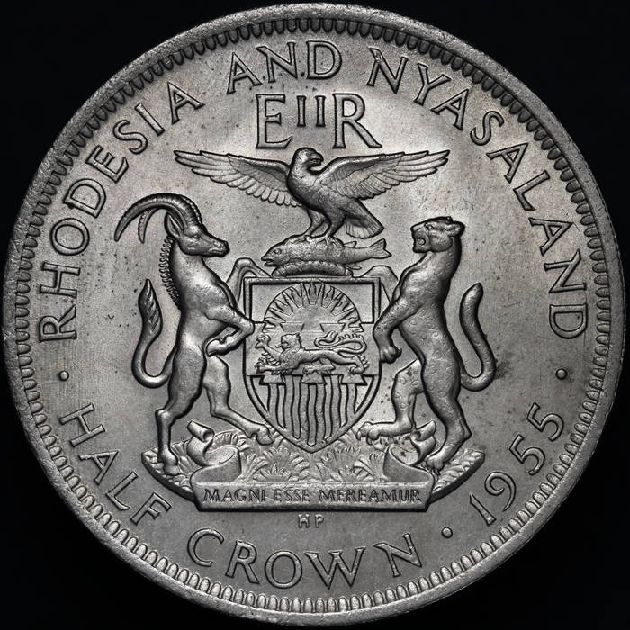 166-Days-Of-Yakko's-World-Coins